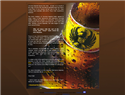 screenshot of Costa Rica - Imperial Beer Website - Distributors