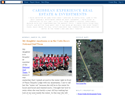 screenshot of Caribbean Experience Real Estate & Investments