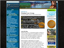 screenshot of Panama Immigration and Financial Services