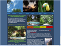 screenshot of Coconut Grove