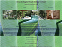 screenshot of Costa Rica Real Estate for Rent - Santa Teresa Home