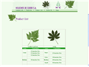 screenshot of Helechos de Cuero S.A - Export Tropical Ferns