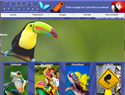 screenshot of voyage costa rica et dÃ©couverte