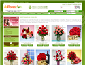 screenshot of Send Flowers To Costa Rica and Latin America
