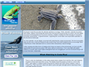 screenshot of Costa Rica Eco Tours - Whale Watching and Surfing