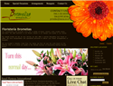 screenshot of Floristeria Costa Rica - FloristerÃ­a Bromelias