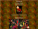 screenshot of Highland Heliconia - Finest quality Tropical Flowers -  Exporters Growers