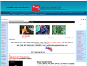 screenshot of Learn Spanish Online & Speak Spanish