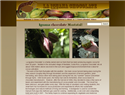 screenshot of La Iguana Chocolate
