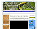 screenshot of Costa Rica tours, hotels, reservations - Costa Rica Rain Forest adventure t
