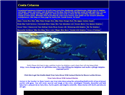 screenshot of Costa Cetacea